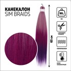SIM-BRAIDS Канекалон трёхцветный, гофрированный, 65 см, 90 гр, цвет фиолетовый/сиреневый/пепельный(#FR-27) - фото 7107311