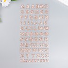 Наклейка пластик "Английский алфавит и цифры. Леопард" 31х14 см - фото 295543473