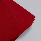 Фетр жесткий 1 мм "Бордовый" набор 10 листов формат А4 - Фото 3