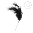 Анальная пробка в наборе для двоих «Интим», (анальная пробка, перо), 18+ - фото 24497592