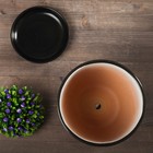 Горшок для цветов «Фиалка», 2.5 л, d=19 см, h=18 см, керамический, с поддоном - Фото 2