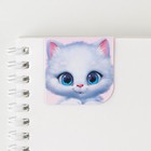 Магнитная закладка в открытке «Котик» - Фото 4