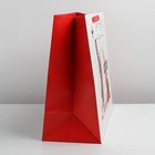 Пакет подарочный ламинированный горизонтальный, упаковка, «Изучай», XL 49 х 40 х 19 см - фото 6571089
