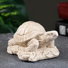 Фигура "Черепаха на камне" слоновая кость, 8х7х6см - фото 24583532