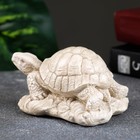 Фигура "Черепаха на камне" слоновая кость, 8х7х6см - Фото 3