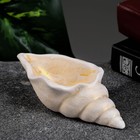 Декоративное кашпо для цветов «Ракушка», 50 мл, 13×6×3 см, гипс, бежевое - Фото 1