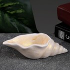 Декоративное кашпо для цветов «Ракушка», 50 мл, 13×6×3 см, гипс, бежевое - Фото 2
