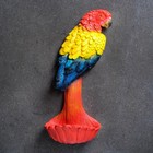 Подвесной декор-поилка "Попугай" 36см - фото 809153855