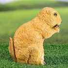 Садовая фигура из полистоуна «Бурундук с орешком», 17 см - Фото 2