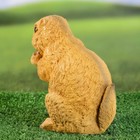 Садовая фигура из полистоуна «Бурундук с орешком», 17 см - Фото 3