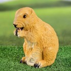 Садовая фигура из полистоуна «Бурундук с орешком», 17 см - Фото 4