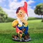 Садовая фигура "Гномик с петушком и пшеницей" 41см - фото 24514914