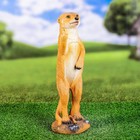 Садовая фигура "Сурикат показывает палец" 38см - фото 24012315