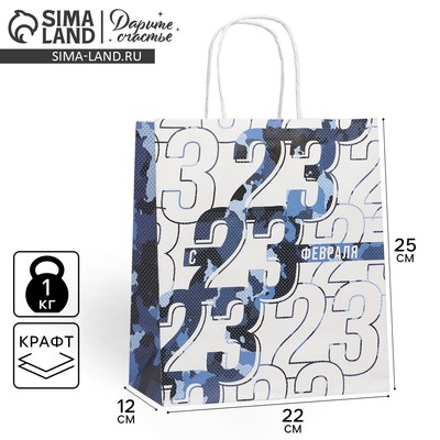 Пакет подарочный крафтовый, упаковка, «23 февраля», 22×25×12 см