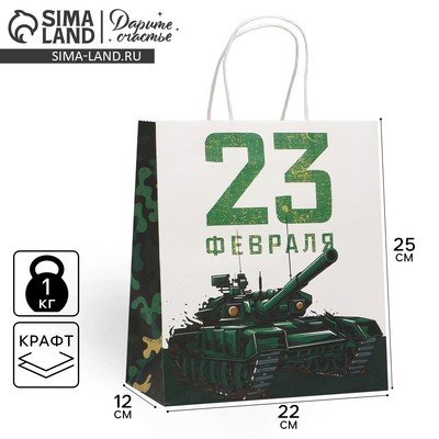 Пакет подарочный крафтовый, упаковка, «С 23 февраля», 22×25×12 см