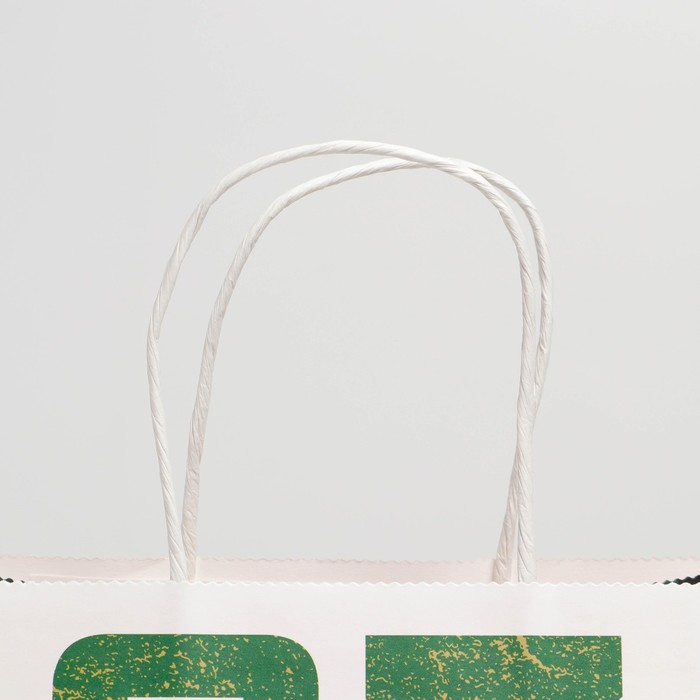Пакет подарочный крафтовый, упаковка, «Защитник», 22 х 25 х 12 см - фото 1908876121