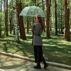 Зонт женский купол "Я тебя насквозь вижу", 8 спиц, d = 88 см, прозрачный - Фото 6