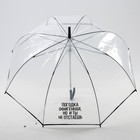 Зонт-купол "Погодка офигительная, но и ты не отстаёшь", 8 спиц, d = 88 см, прозрачный - фото 9040443