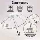 Зонт-купол "Погодка офигительная, но и ты не отстаёшь", 8 спиц, d = 88 см, прозрачный - фото 9652732