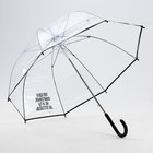 Зонт-купол "Погодка офигительная, но и ты не отстаёшь", 8 спиц, d = 88 см, прозрачный - Фото 4
