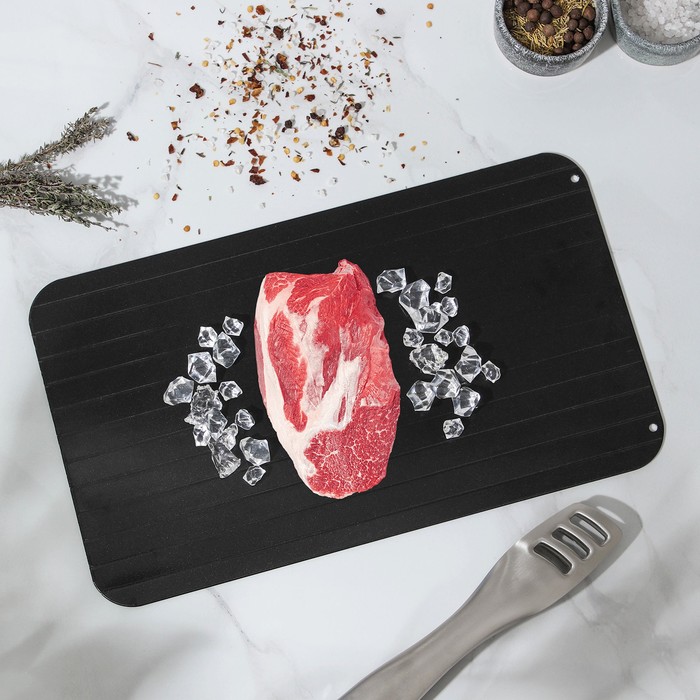 Противень для разморозки продуктов Доляна, 35.5×20.5 см, цвет чёрный - Фото 1