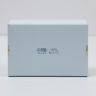 Коробка для эклеров, кондитерская упаковка, 4 вкладыша, «Фиалки», 20 х 15 х 5 см - Фото 3