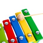 Ксилофон «Паровозик» Alatoys, 5 планок - Фото 3