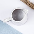 Набор посуды "Зодиак" 11 предметов, 250 мл; 900 мл - фото 24700140