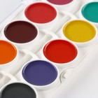 Акварель медовая ArtFox STUDY, 24 цвета, в пластиковой коробке, без кисти - Фото 4