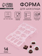 Форма для конфет и шоколада «Ассорти», пластик, 14 ячеек, 20×12×2.5 см, прозрачная - Фото 1