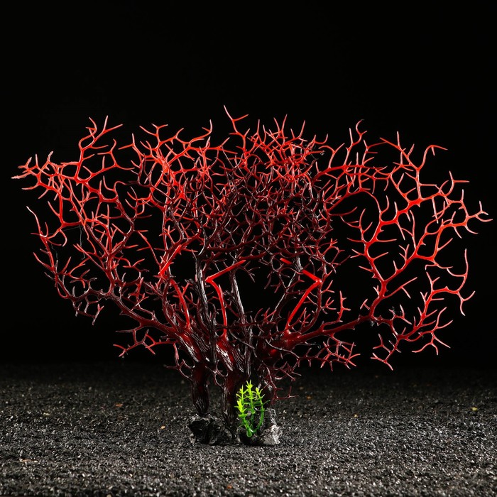 Декор для аквариума "Коралловое растение", 34 х 10 х 28 см - Фото 1