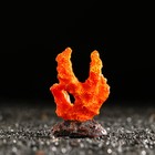 Декоративный коралл "Синулярия мини", 6 х 3,5 х 8,5 см, оранжевый - Фото 2