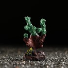 Декоративный коралл "Синулярия мини", 6 х 3,5 х 8,5 см, зелёный - Фото 1