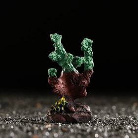 Декоративный коралл "Синулярия мини", 6 х 3,5 х 8,5 см, зелёный