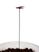 Штекер садовый «Бабочка мейбл», 4 см, h=27 см, МИКС  (артикул 7602670)  большой выбор товаров оптом и в розницу по низким ценам с доставкой