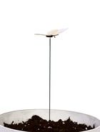 Штекер садовый «Бабочка элен», 7 см, h=30 см, белый  (артикул 7602671)  большой выбор товаров оптом и в розницу по низким ценам с доставкой