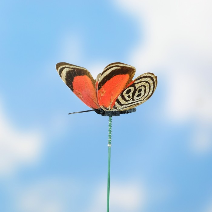 Штекер светящийся "Бабочка", 6,5х25см - фото 1908876840