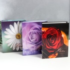 Фотоальбом на 100 фото 10×15 см «Цветочная коллекция», МИКС 7779191