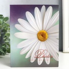 Фотоальбом на 100 фото 10×15 см «Цветочная коллекция», МИКС 7779191