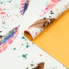 Бумага упаковочная глянцевая, двусторонняя "Перья", рисунок, 100 х 70 см (комплект 10 шт) - фото 25270187