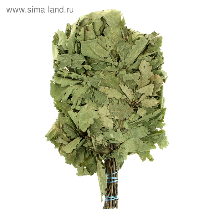 Веник для бани дубовый