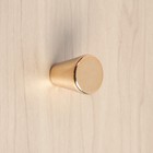 Ручка-кнопка CAPPIO, РК019, d=20 мм, пластик, цвет золото - Фото 3