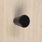 Ручка-кнопка CAPPIO, РК019, d=20 мм, пластик, цвет черный - Фото 3