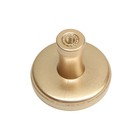 Ручка-кнопка CAPPIO РК103, d=33 мм, пластик, цвет матовое золото - фото 21539956