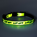 Ошейник кошачий со светоотражающим покрытием «Рыбки», 30×1 см, зелёный - Фото 7