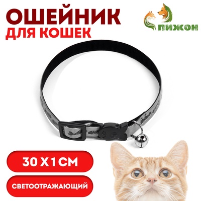 Ошейник для кошек «Рыбки», 30×1 см, со светоотражающим покрытием, серебристый