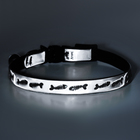 Ошейник для кошек «Рыбки», 30×1 см, со светоотражающим покрытием, серебристый - Фото 7