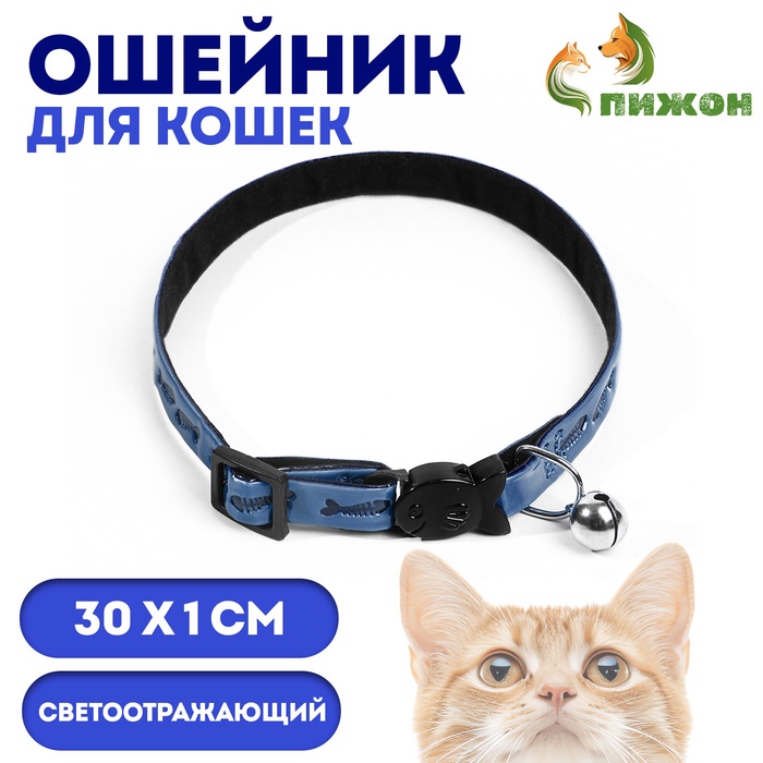 Ошейник кошачий со светоотражающим покрытием «Рыбки», 30×1 см, голубой - Фото 1