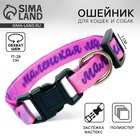 Ошейник для собак и кошек с фастексом «Маленькая леди», 30х1 см - Фото 1