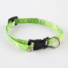 Ошейник для собак и кошек с фастексом «Авокадо», 30х1 см - Фото 2